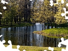 Spring, River, forest