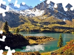 Alps, lake, Spruces, medows