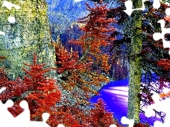 Spruces, Mountains, Autumn