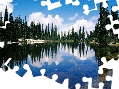 lake, Spruces