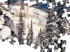 Snowy, Mountains, Spruces, slopes