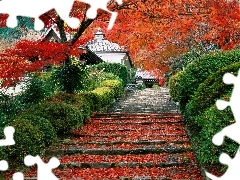 Stairs, Leaf, Japan, trees, house