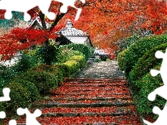 Stairs, Leaf, Japan, trees, house