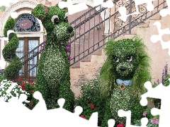 Stairs, Floral, puppies