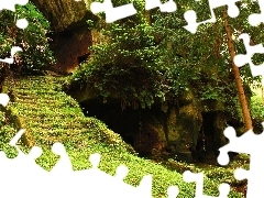 Stairs, forest, rocks