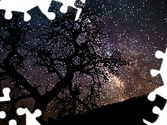 trees, star