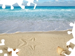 Beaches, Shells, starfish, Sand