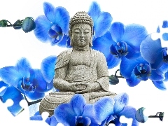 blue, orchids, Statue of Buddha, Flowers