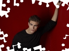 Paul Wesley, Stefan Salvatore