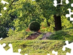 viewes, Park, Stone, Stairs, grass, trees