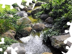 Stones, Meadow, brook