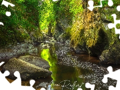 River Conwy, Fairy Glen Gorge, Betws y Coed Village, Snowdonia National Park, viewes, wales, rocks, trees, Stones