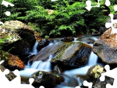 Stones, Fern, stream, rocks, mountainous