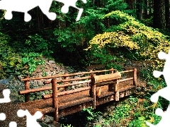 forest, bridges, Stones, wooden