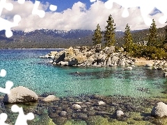 Stones, forest, lake