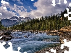 River, forest, Stones, Mountains