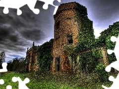 storm, clouds, Covered, flora, ruins