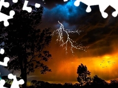 trees, lightning, Storm, Sky