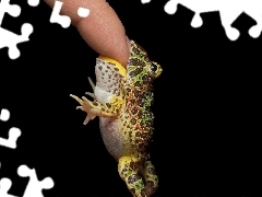 strange frog, finger