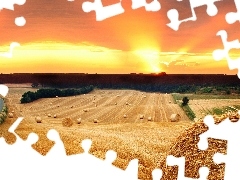 straw, Way, sun, field, west