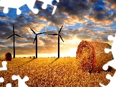 west, field, straw, sun