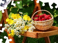 Chair, basket, strawberries, Flowers