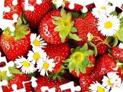 strawberries, White, Flowers