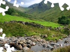 stream, Meadow, Mountains