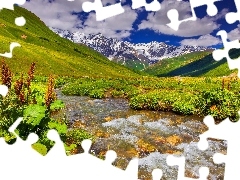 stream, Plants, Mountains, medows, clouds