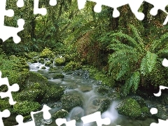 stream, Stones, viewes, fern, trees