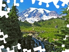 waterfall, Spruces, summer, Mountains