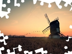 sun, birds, Meadow, west, Windmill