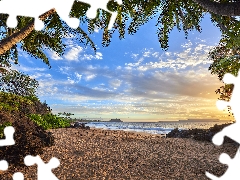 Beaches, Palms, rays of the Sun, sea, Aloha State Hawaje