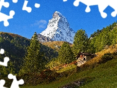 forest, Mountains, cote, Meadow, sun, shadow, luminosity, Matterhorn, mount, flash, ligh