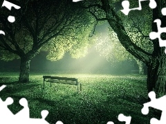 ligh, viewes, flash, Bench, trees, sun, luminosity