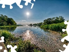 River, rays, sun, summer