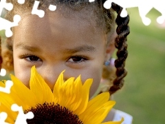 Sunflower, girl, pigtail