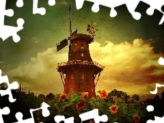 Windmill, Nice sunflowers