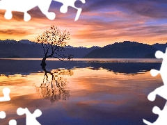 Mountains Sunset, reflection, Wanaka Lake, trees, New Zeland