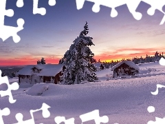 trees, winter, Great Sunsets, country, viewes, Houses