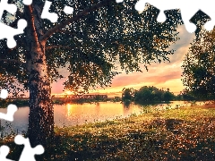 birch-tree, Great Sunsets, trees, viewes, River