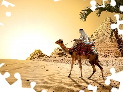 Sand, Camel, Palm, Pyramid, Egypt, Desert, Great Sunsets