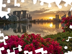 skyscrapers, Singapur, Great Sunsets, bridge, Flowers, Hotel Marina Bay Sands, Marina Bay, River