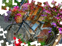 florist, Flowers, Surfinie, Bike
