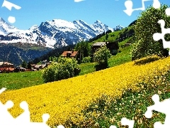 Mountains, Houses, Switzerland, Meadow