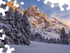 viewes, Switzerland, Mountains, trees, winter