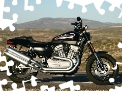 exhaust, Harley Davidson XR1200, system