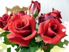 Table, bouquet, rose