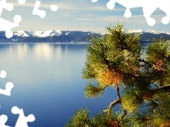 Tahoe, California, Mountains, twig, lake