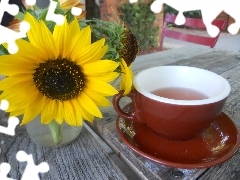 tea, Sunflower, cup